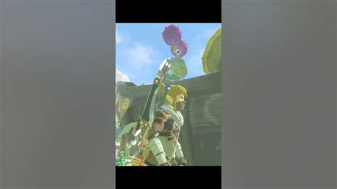 lurelin village korok seed roof.